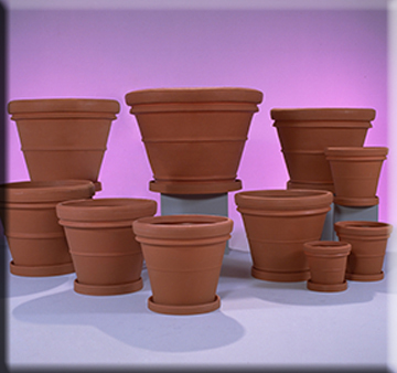 transitional-vase-containers